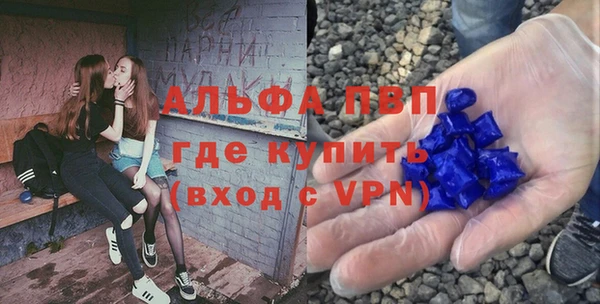 a pvp Новодвинск
